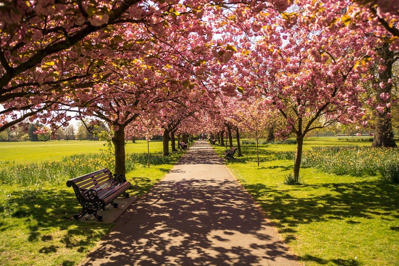 Romantic Things to Do in London - Hyde Park